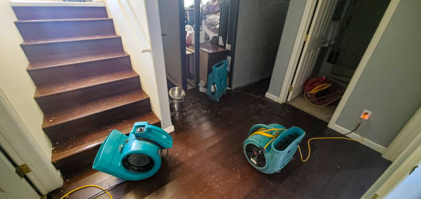 Best 24/7 water damage repair  in West Valley City, UT