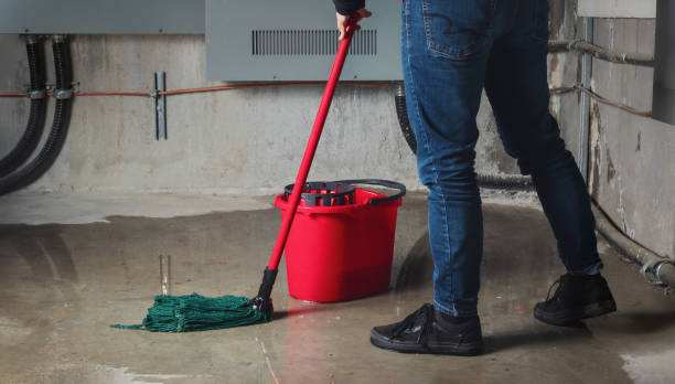 Best Basement water damage restoration  in West Valley City, UT
