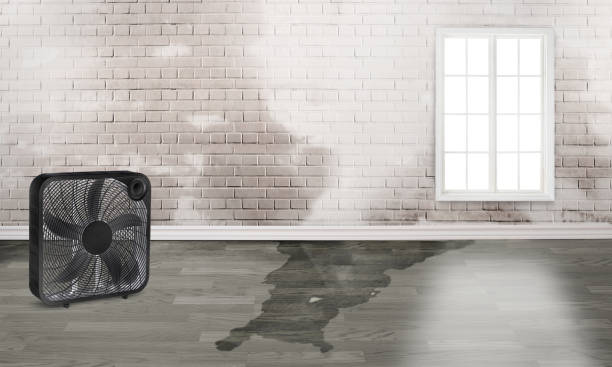 Water damage restoration mold remediation in West Valley City, UT