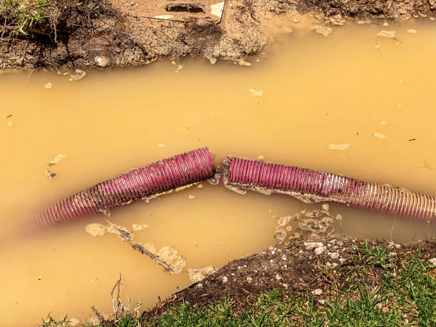 Best Flood restoration services  in West Valley City, UT